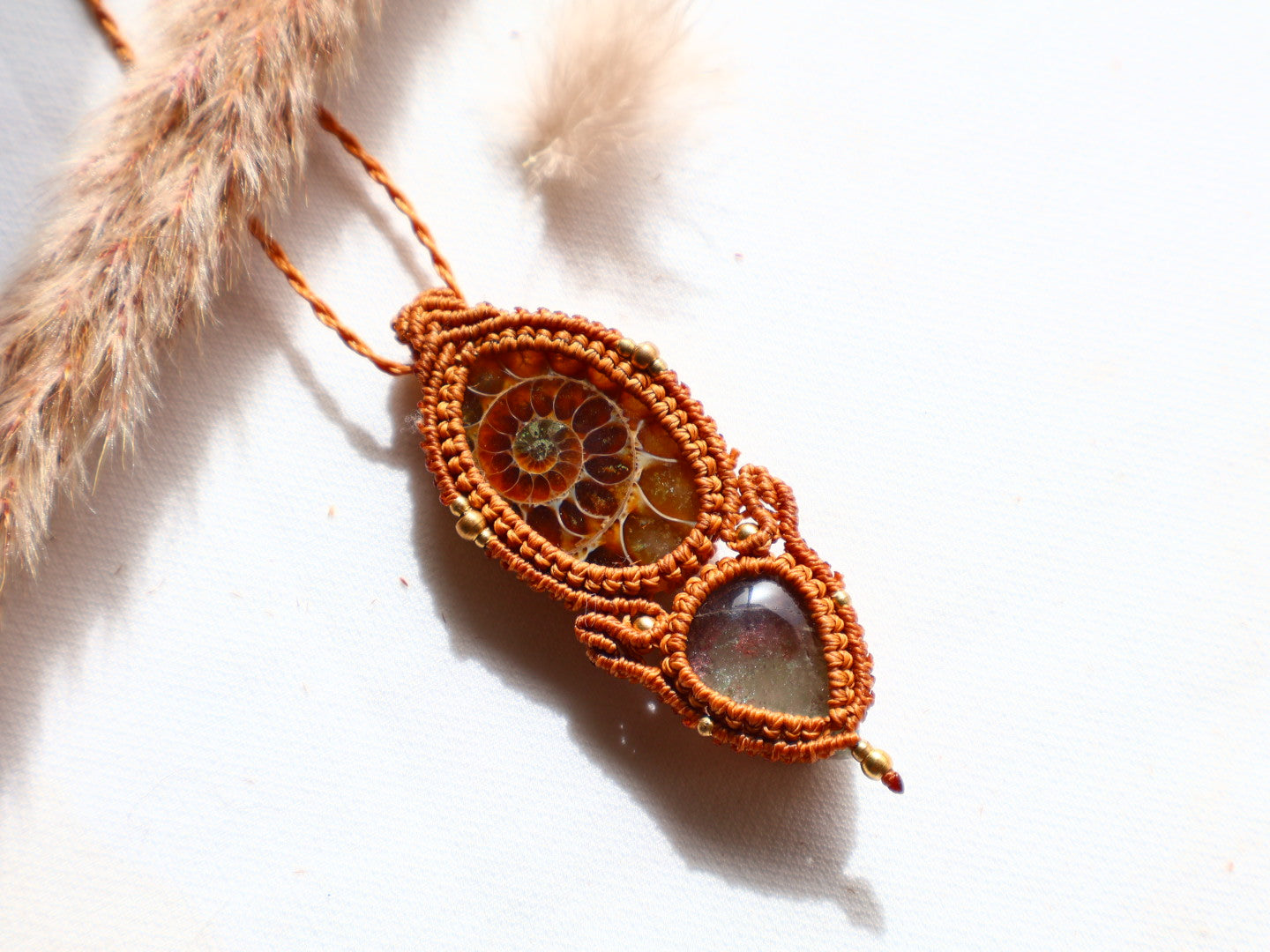 ✦ Sacred Alchemy Amonite ✦